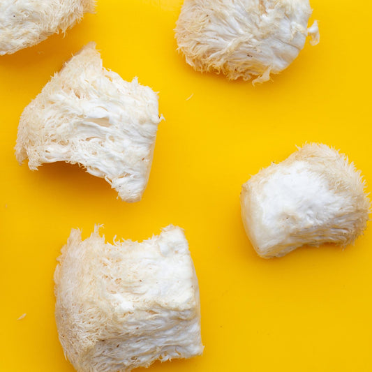 Lion's Mane – Small Pieces (Second Selection)